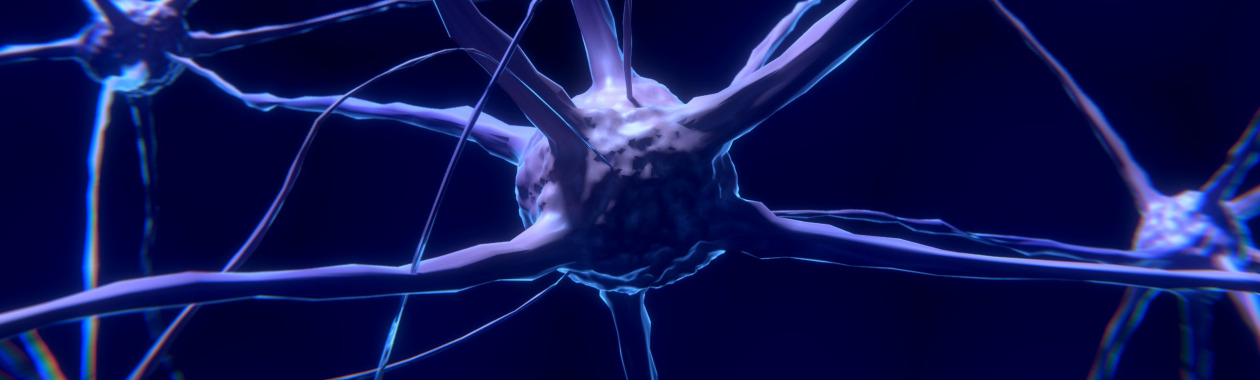 neurons